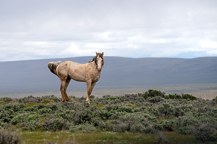 20150516_5732.jpg