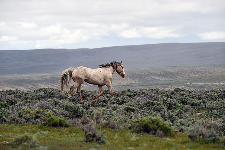 20150516_5735.jpg