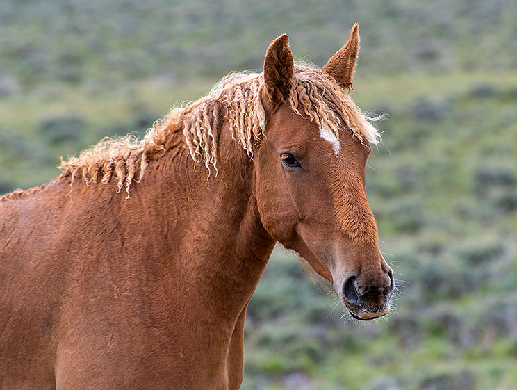 20150516_5780.jpg