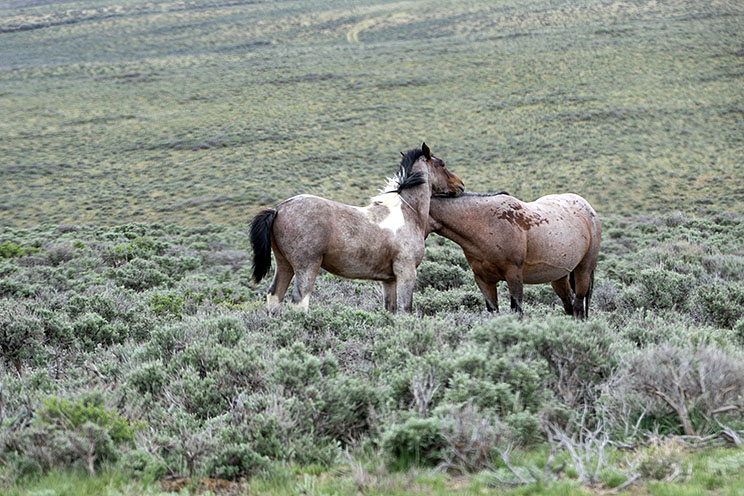 20150516_5824.jpg