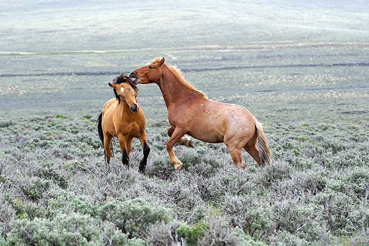 20150516_5817.jpg