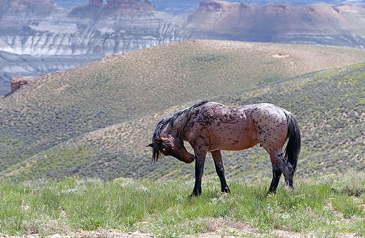 20150602_5869.jpg