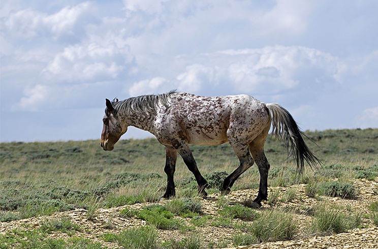 20150602_5972.jpg