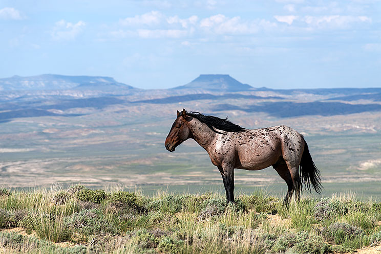 20150602_5949.jpg