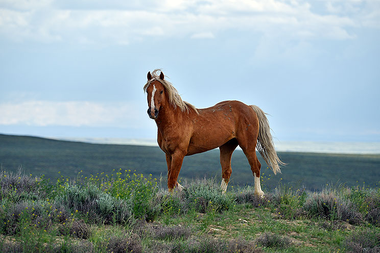 DSC_1039.jpg