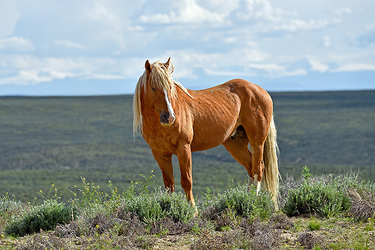 DSC_0959.jpg