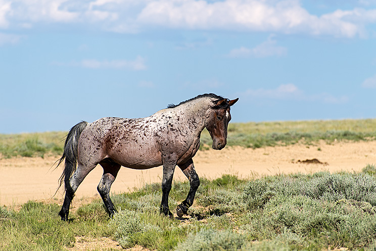 20150619_6792.jpg