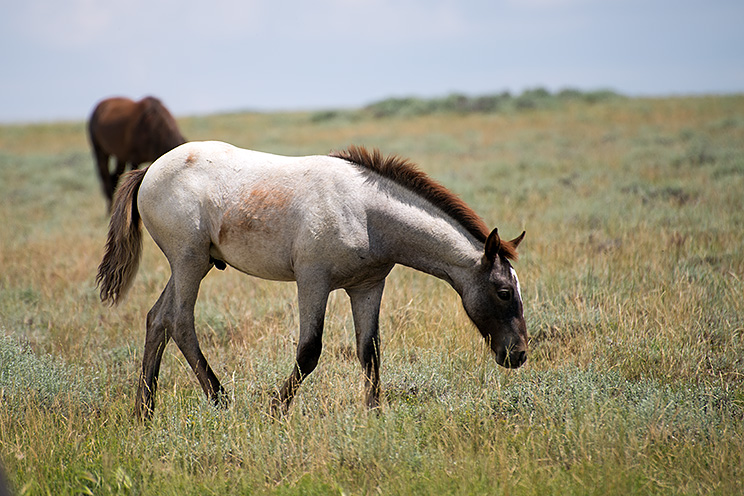 20150708_7129.jpg