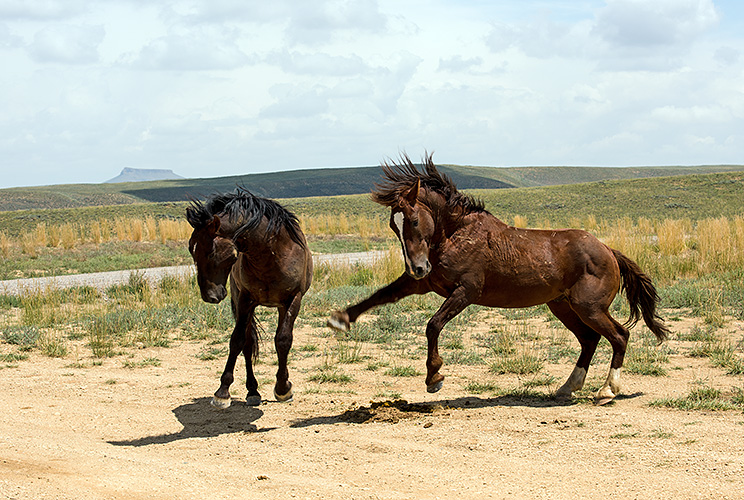 20150708_7073.jpg