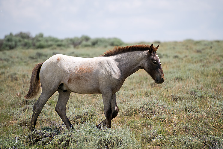 20150708_7130.jpg