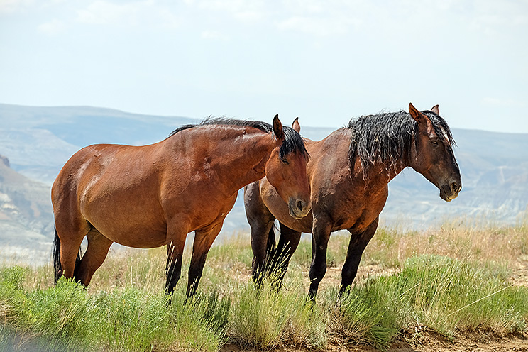 20150708_7309.2.jpg