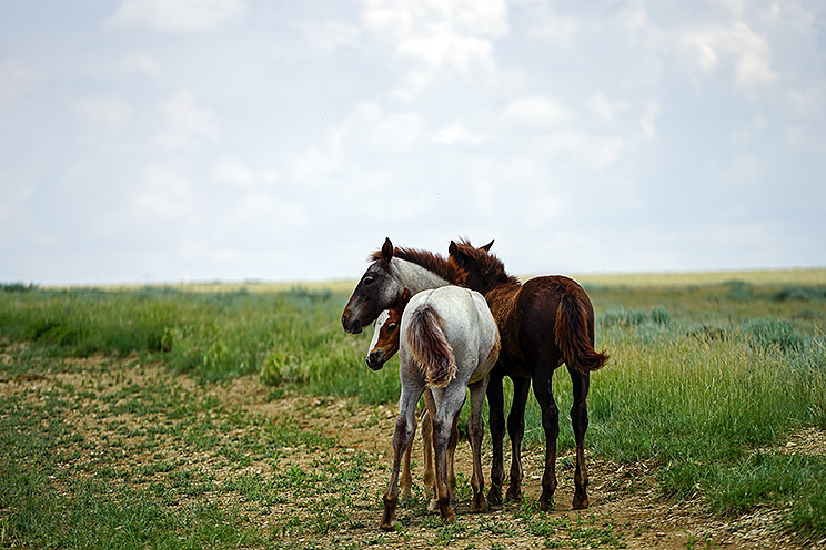 20150708_7374.jpg