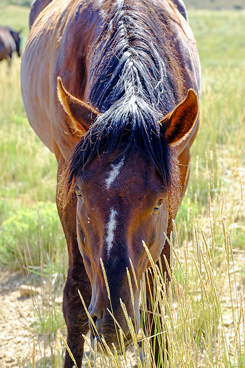 20150711_7685.jpg
