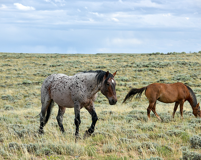 20150718_7847.jpg