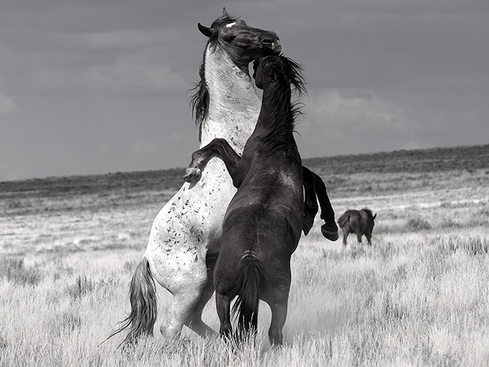 20150723_8450.jpg