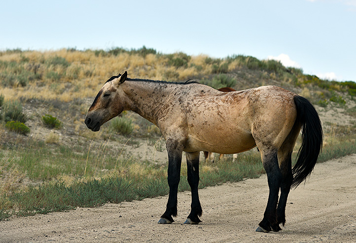 20150723_8694.jpg