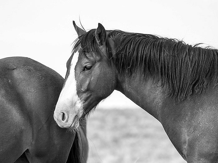 20150801_8833.jpg