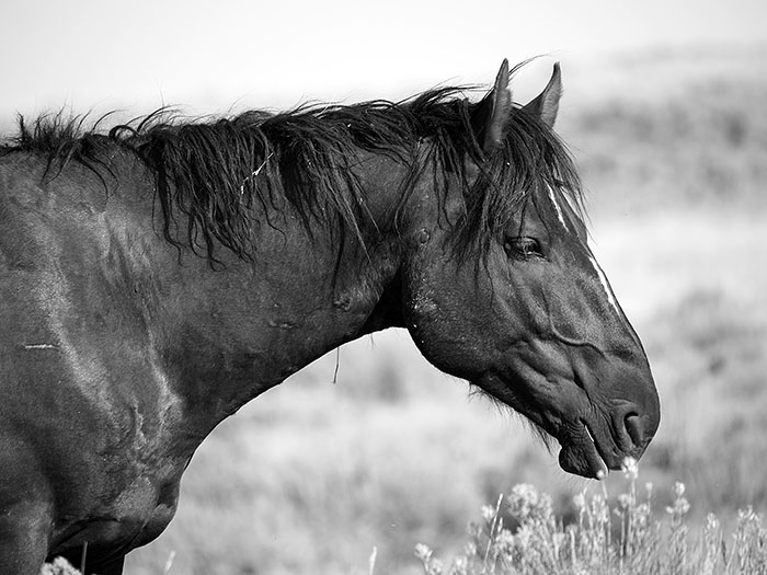 20150831_0866.jpg