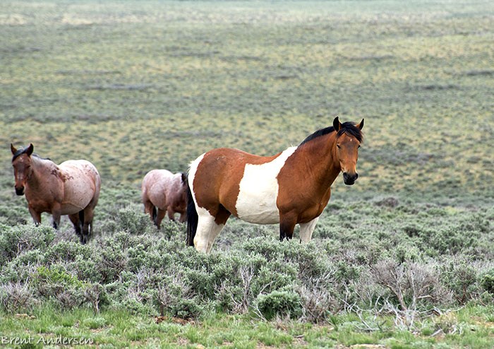 20150516_5700 copy.jpg