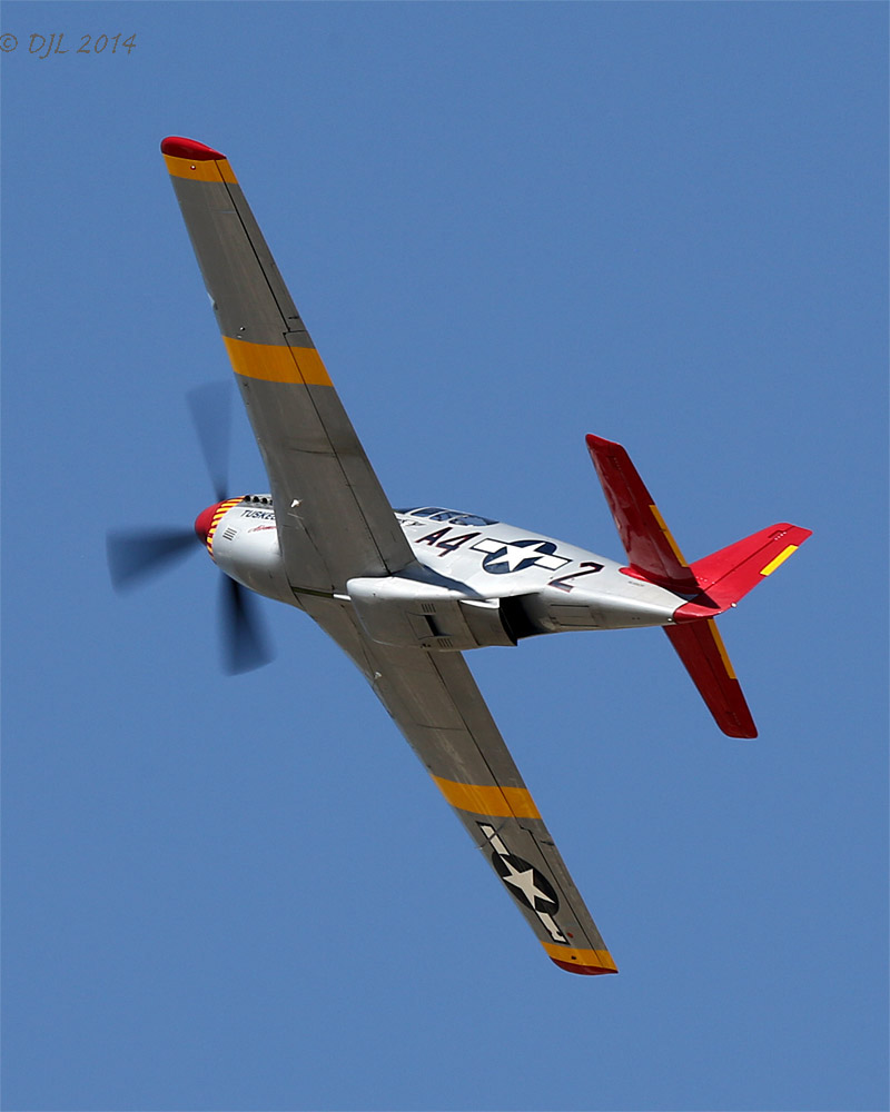 LACAS_051.jpg