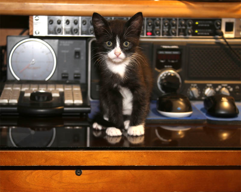 2014_kit_1.jpg