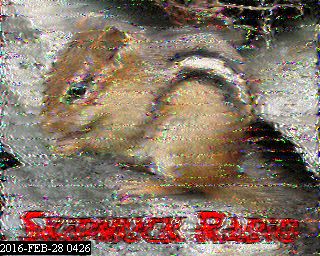 201602280426.jpg