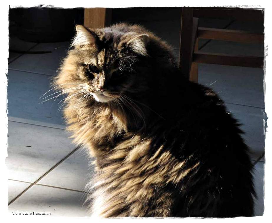 Grendel