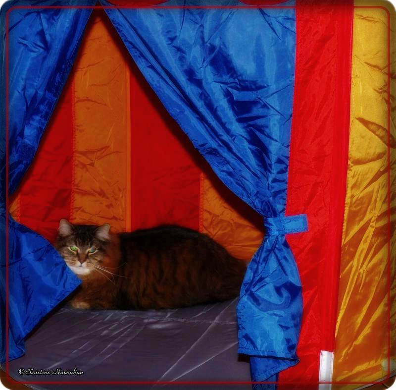 Grendel in his tent