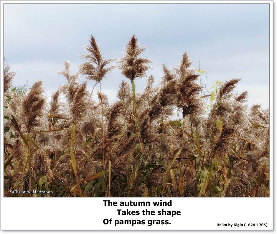 The autumn wind...