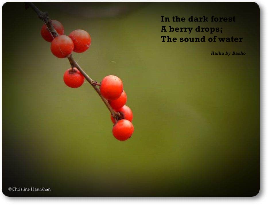 A berry drops...