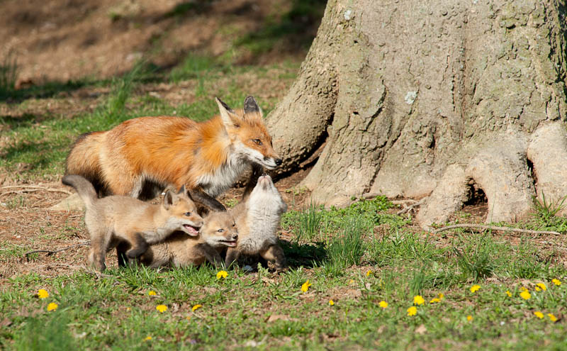 20140405-DSC_2416.jpg