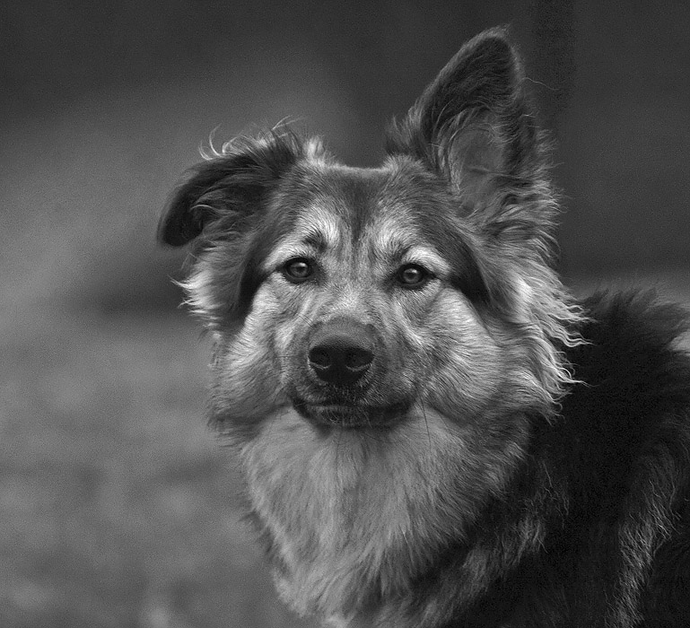 Friend