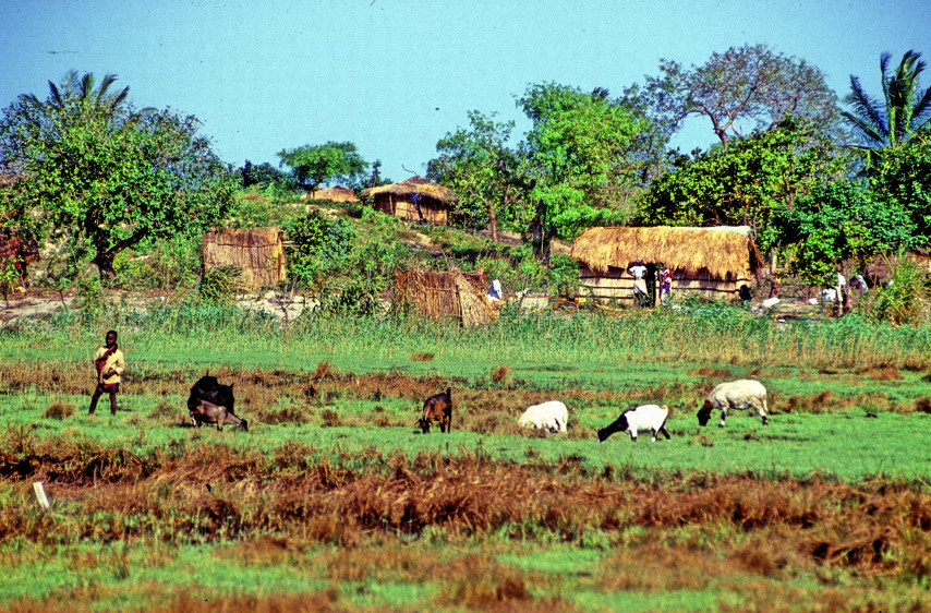 Countryside Village 