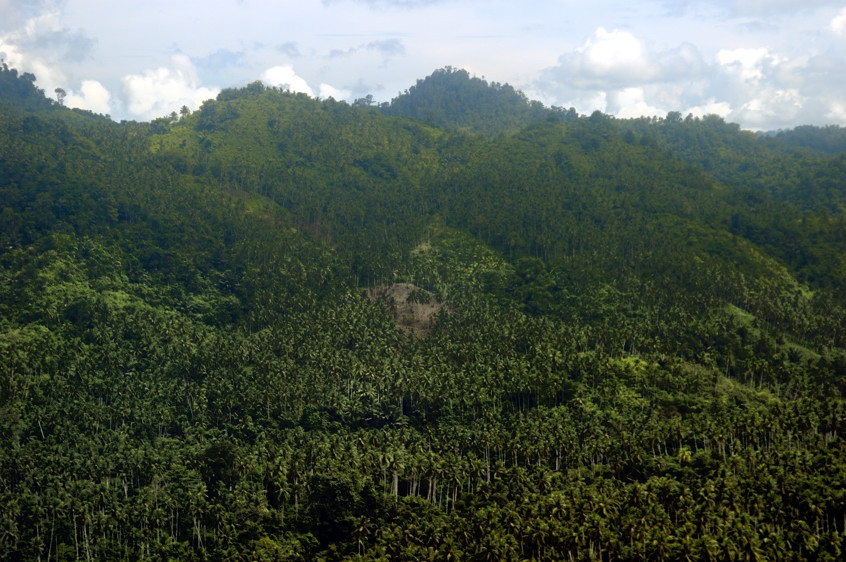 Manados Mountains and Forests