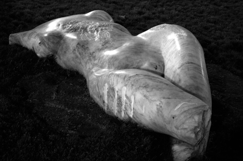 Cutileiro-Torso On The Grass B&W