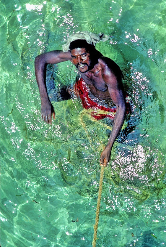 The Fisherman From Above 