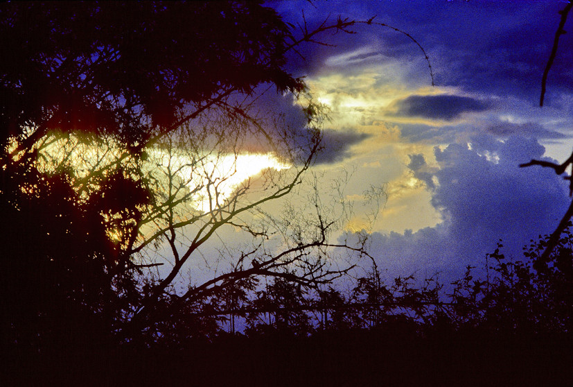 Love of Africa