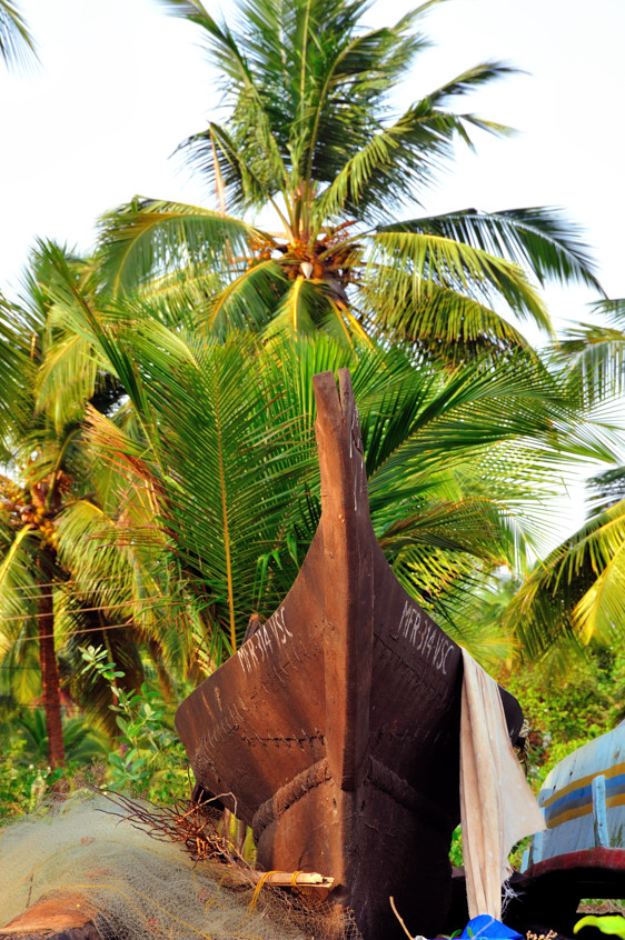 Traditional Fishing Boats