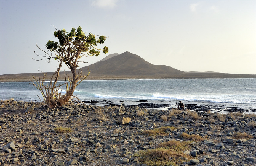 The Hidden Bay