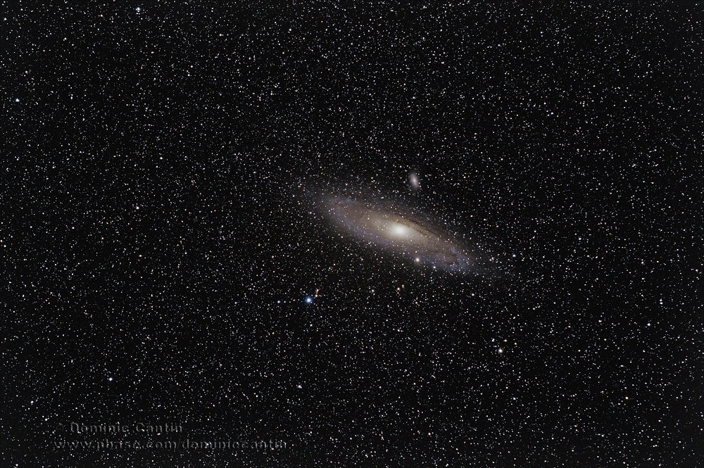 M31