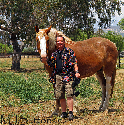 KW FarmHorse & Will