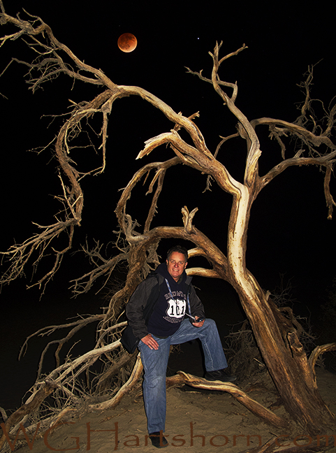 Death Valley Ghost Tree