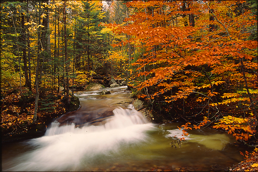 Franconia Notch Autumn 