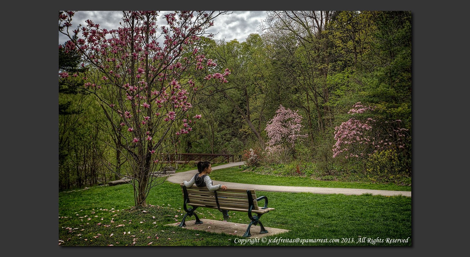 2013 - Magnolias - Edwards Gardens - Toronto, Ontario - Canada