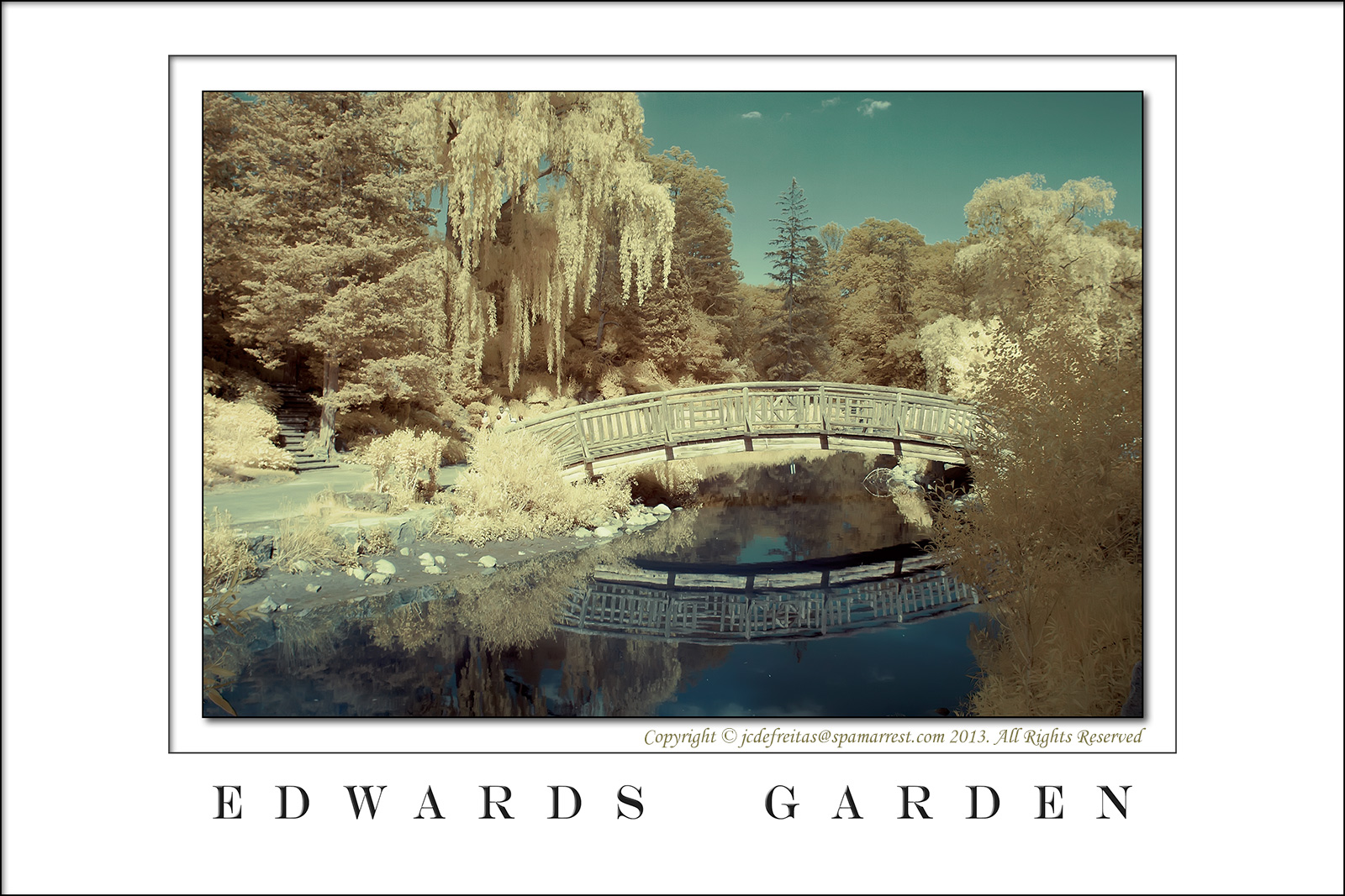 2013 - Toronto, Ontario - Canada (Infrared)