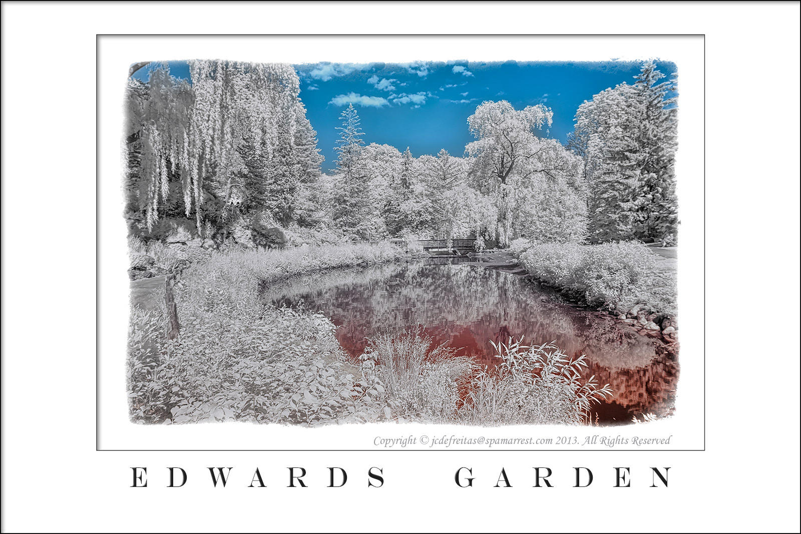 2013 - Edwards Garden - Toronto, Ontario - Canada (Infrared)