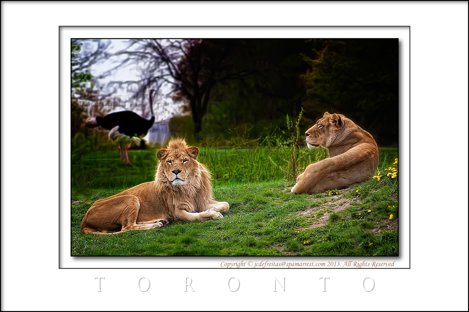 2013 - Toronto Zoo, Ontario - Canada