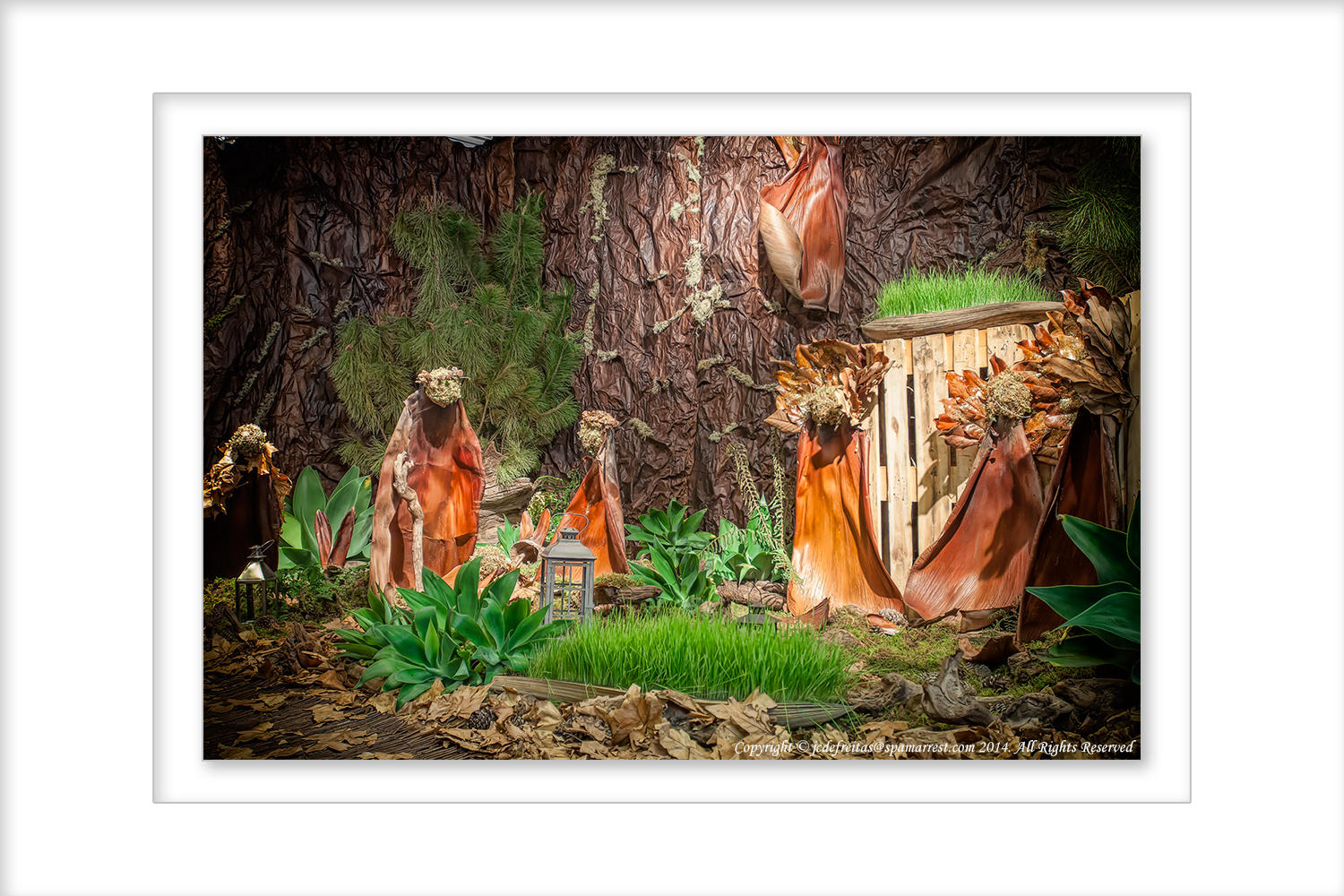 2014 - Nativity made of Plant life - Funchal, Madeira -Portugal