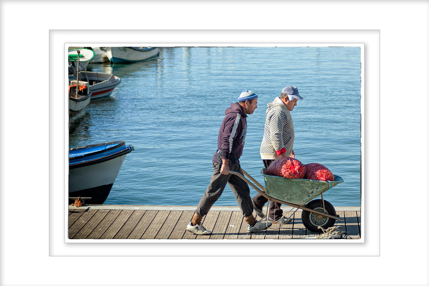 2014 - Delivering the Clams - Olhão, Algarve - Portugal