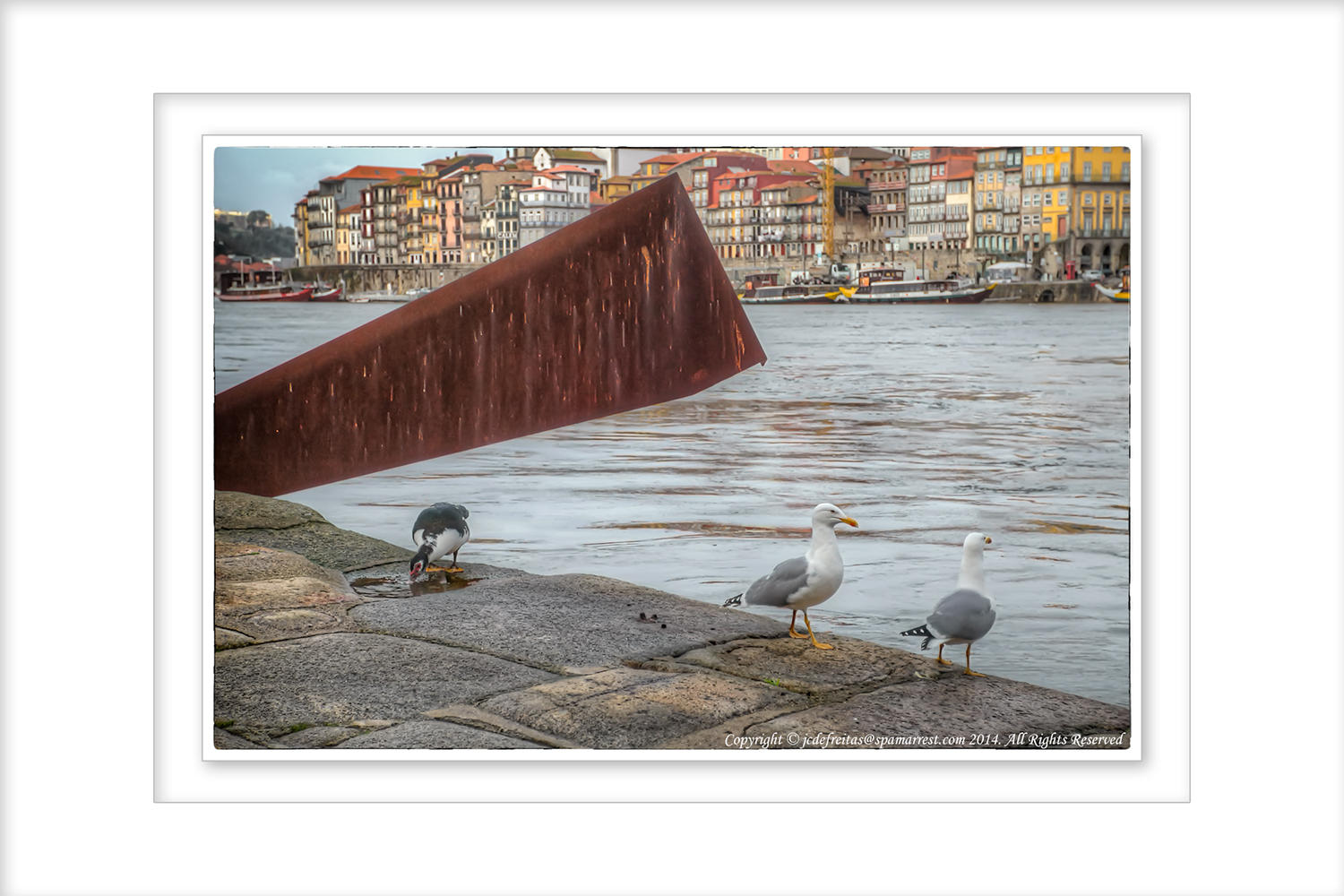 2014 - Rio Douro - Porto - Portugal